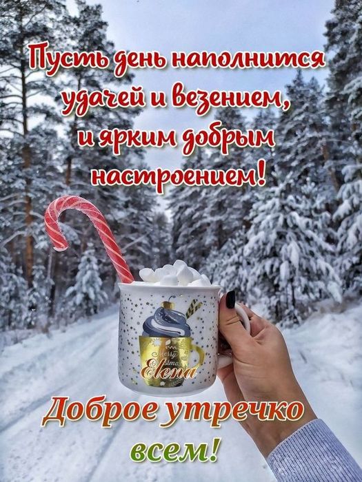 4743317_IMG20231130WA0003 (525x700, 95Kb)