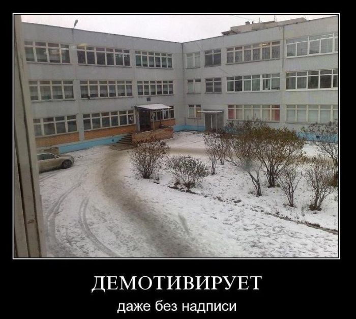 4743317_demotivatry_09 (700x627, 80Kb)