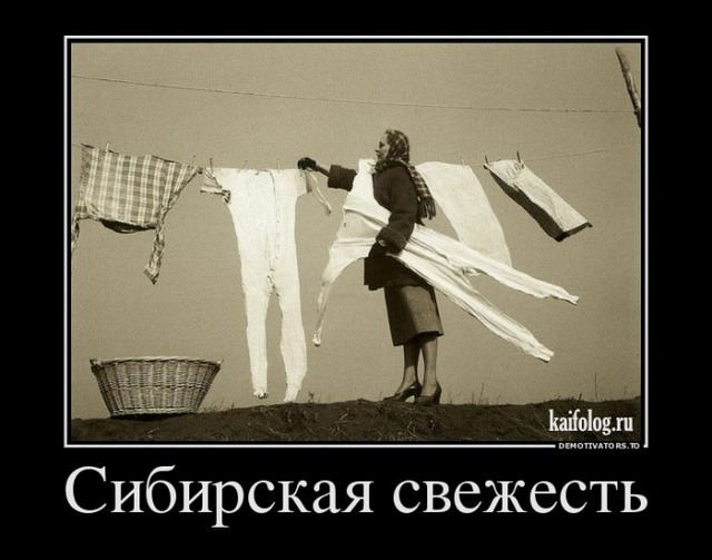 4743317_1449569984_010 (640x503, 60Kb)