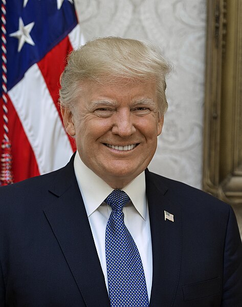 Donald_Trump_official_portrait (473x599, 58Kb)