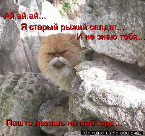 4743317_lW (491x460, 60Kb)