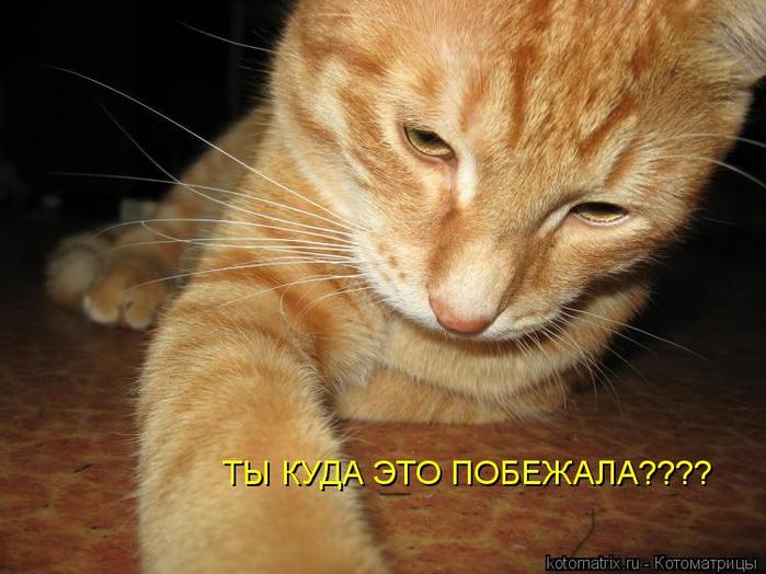 4743317_HW (700x524, 55Kb)