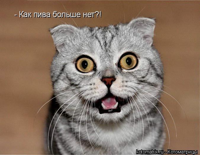 4743317_Xi (676x525, 54Kb)
