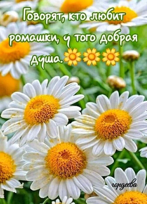 7943a62127003ab33139a442fee6aa86 (504x700, 77Kb)