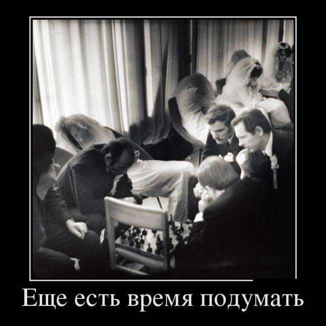 4743317_1441774895_01 (650x650, 39Kb)