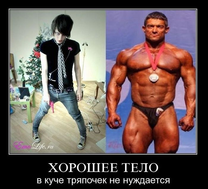 4743317_demotivatry_02 (700x638, 82Kb)