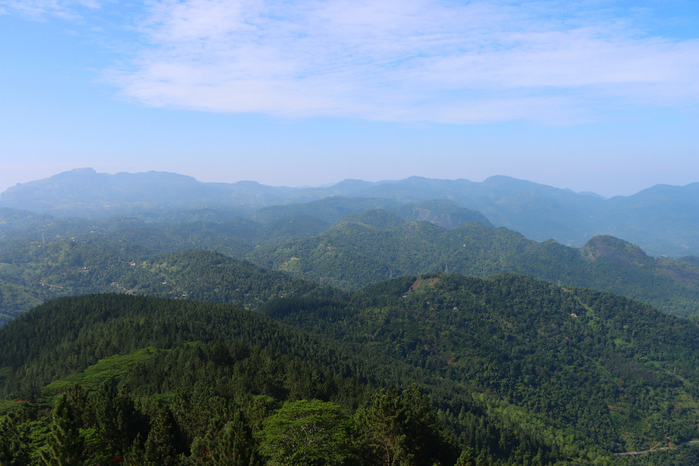 IMG_1575 (700x466, 418Kb)