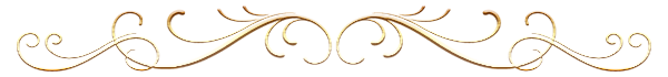 des277 (600x70, 48Kb)
