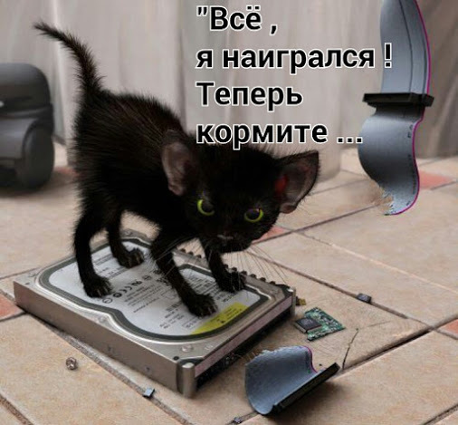 4743317_i21513 (506x469, 71Kb)