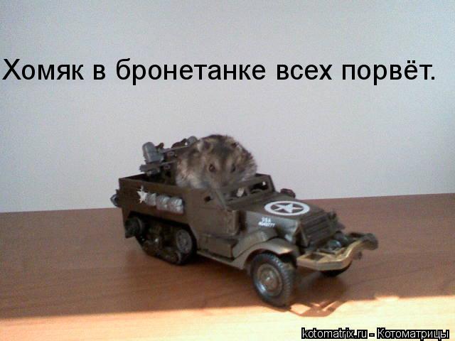 4743317_ha (640x480, 35Kb)