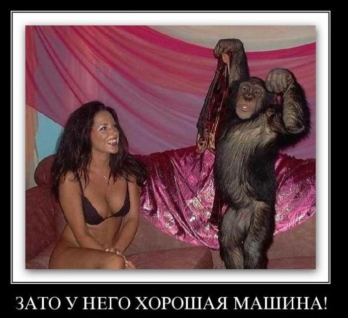 4743317_demotivatiry_57 (700x640, 79Kb)