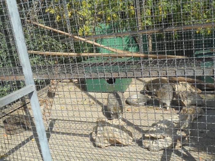4752699_enDSCN0281 (700x525, 385Kb)