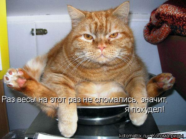 4743317_7A (599x449, 53Kb)