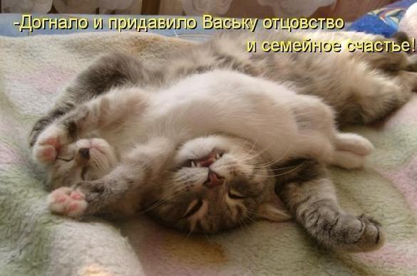 4743317_i21451 (585x388, 35Kb)