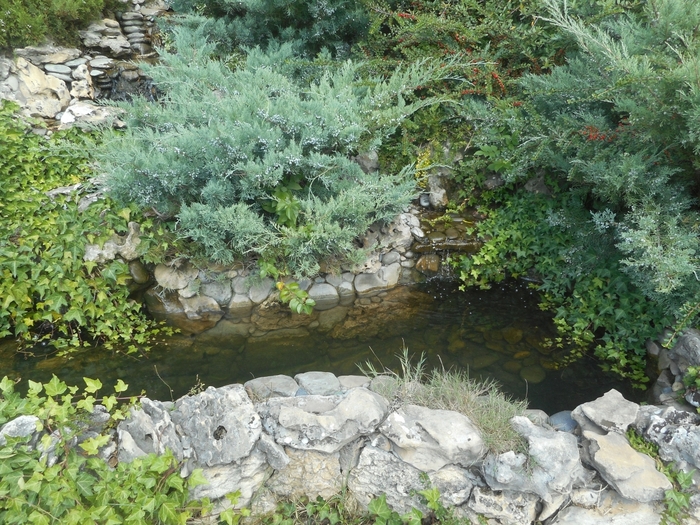 4752699_DSCN0670 (700x525, 374Kb)