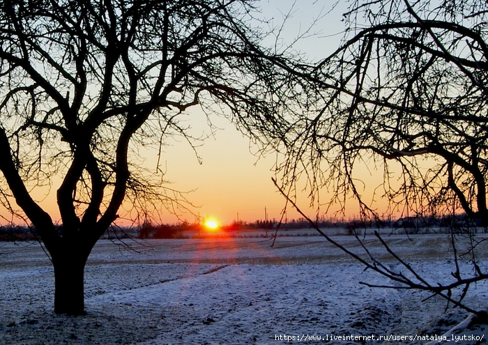 DSC02529 (700x495, 445Kb)