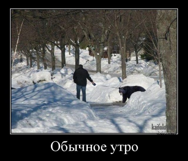 4743317_1449569999_002 (640x549, 82Kb)