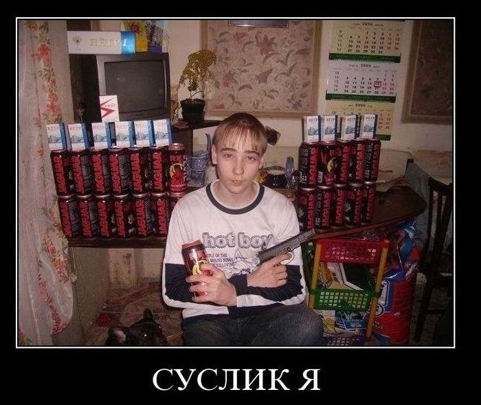 4743317_demotivatiry_53 (700x589, 85Kb)