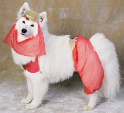 4743317_1142073946_c01540859b3bae639a97707c7b842ac5_12_1_ (420x382, 25Kb)