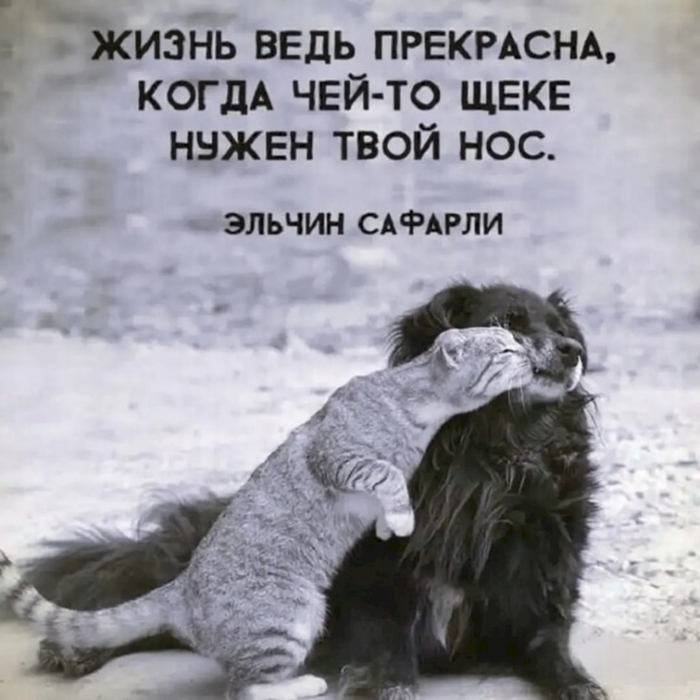 4743317_7def0bab (700x700, 241Kb)