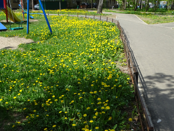 DSC00005 (700x525, 617Kb)