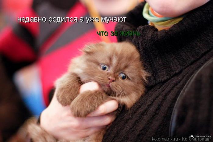 4743317_nO (700x466, 41Kb)