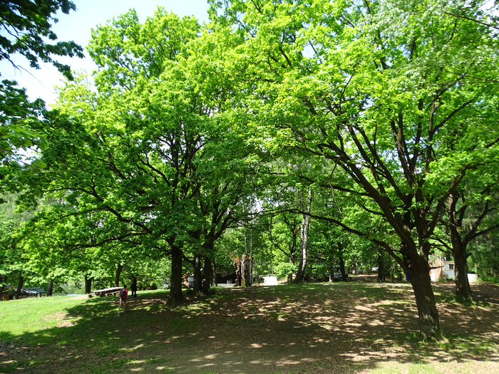 DSC00001 (700x525, 705Kb)