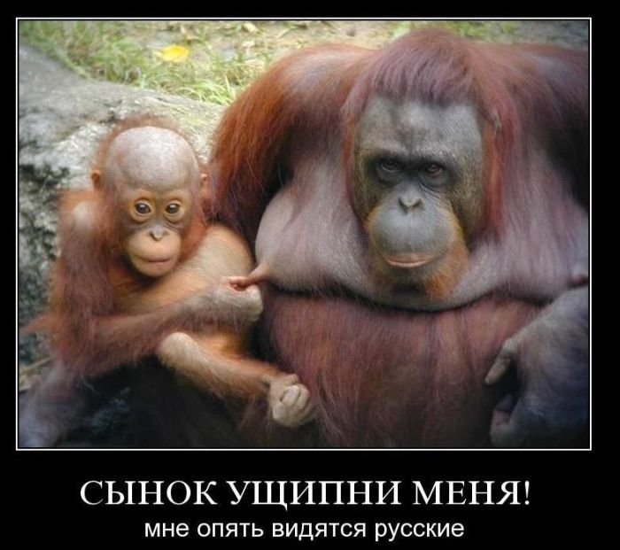 4743317_demotivatiry_47_1_ (700x621, 69Kb)