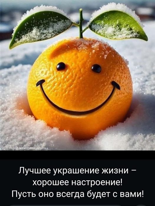 4743317_image_1 (526x700, 66Kb)