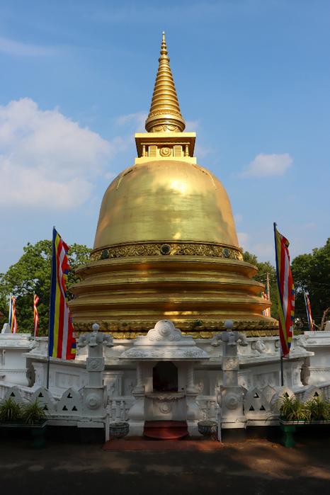 IMG_1641 (466x700, 402Kb)