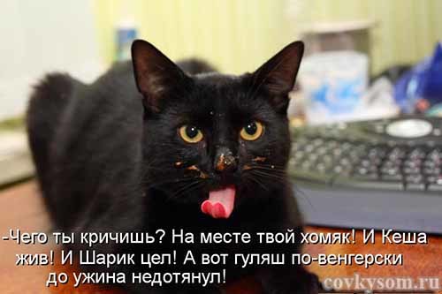 4743317_i21371_1_ (500x333, 26Kb)