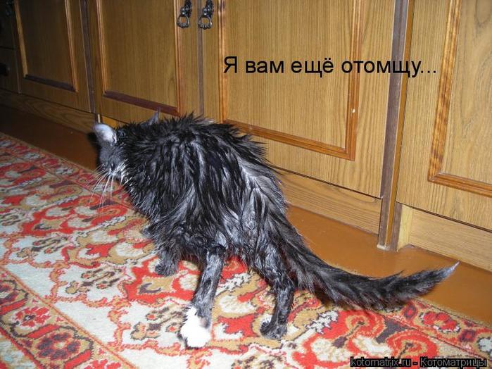 4743317_WY (700x524, 76Kb)