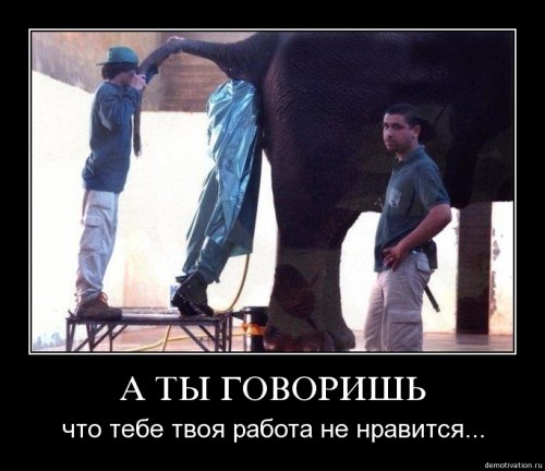 4743317_1251281184_147 (500x432, 35Kb)