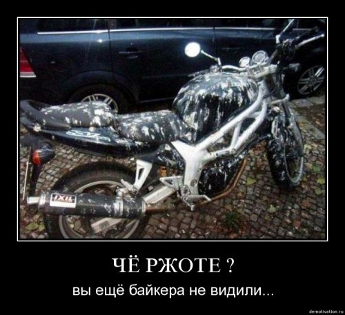 4743317_1251281172_144 (500x457, 46Kb)
