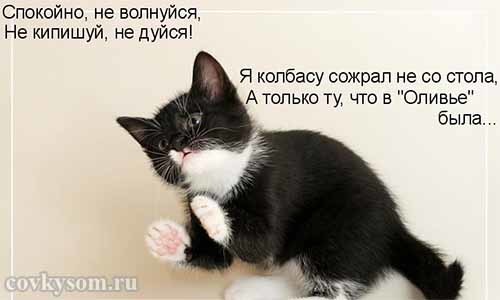 4743317_i21291 (500x300, 20Kb)