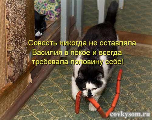 4743317_i21290 (500x393, 49Kb)