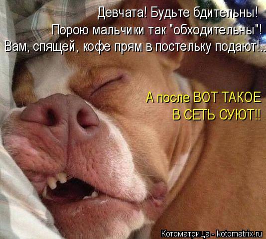 4743317_i5109 (534x480, 51Kb)