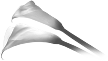 68684392_Bezimeni1 (220x124, 17Kb)