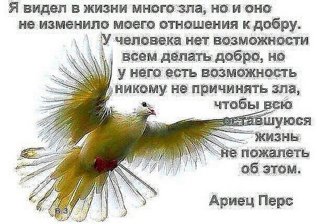 4743317_image_4 (640x453, 116Kb)