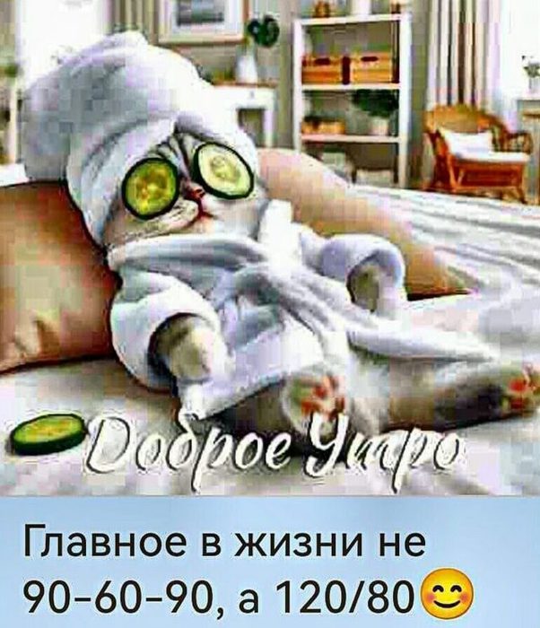 4743317_image_2 (602x700, 82Kb)
