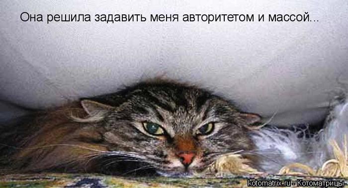 4743317_Gd (700x379, 43Kb)