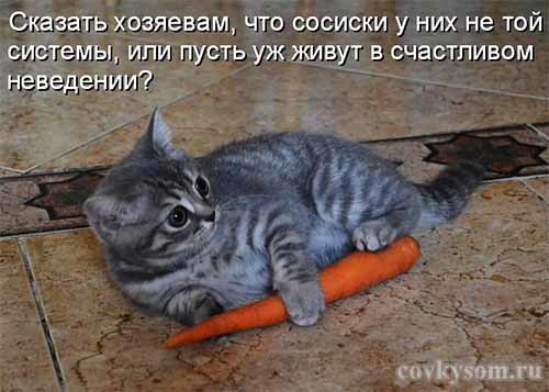 4743317_i21286 (500x357, 37Kb)