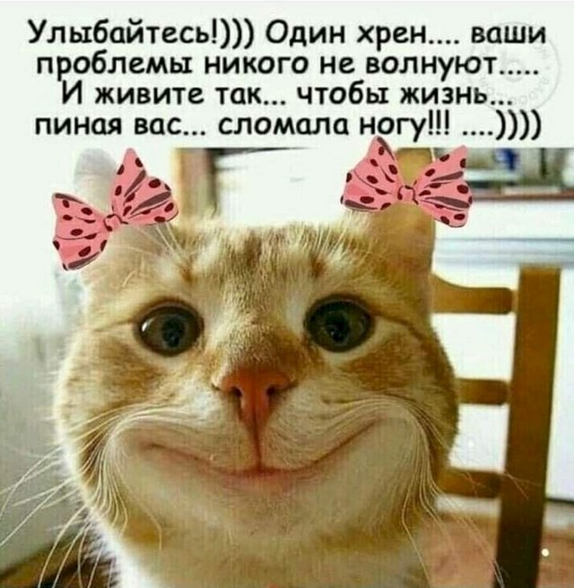 4743317_580b3f21 (640x656, 93Kb)