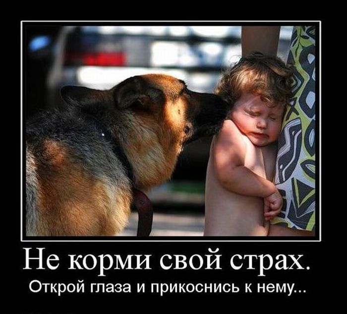 4743317_demotivatiry_31 (700x633, 73Kb)