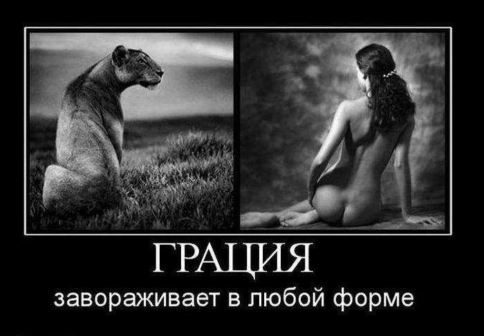 4743317_demotivatiry_32 (700x486, 50Kb)
