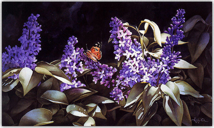 1354568350-0368520-www.nevsepic.com.ua (700x417, 467Kb)