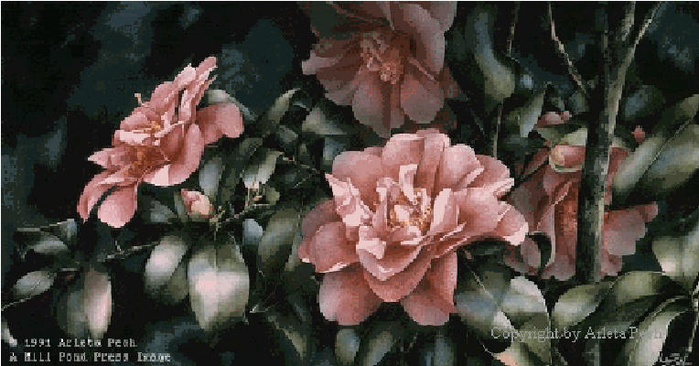 Shady-Lady-Camellia-Arleta-Pech (700x366, 304Kb)