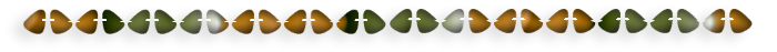 -1 (700x47, 32Kb)