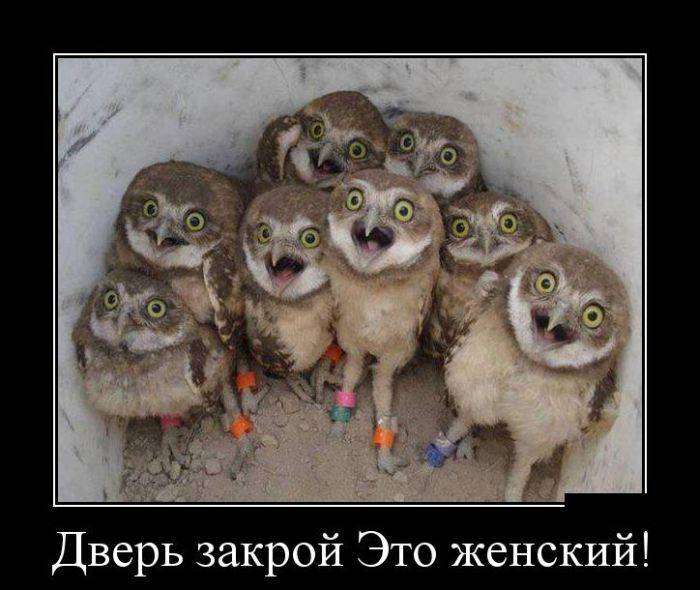 4743317_1441960527_30 (700x590, 49Kb)