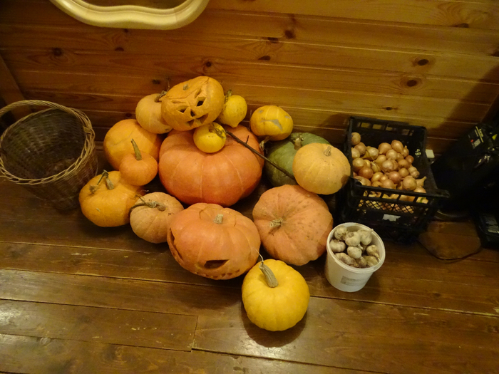 DSC00011 (700x525, 426Kb)